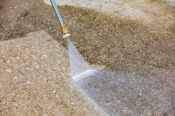 Best Roof Washing  in Willows, CA